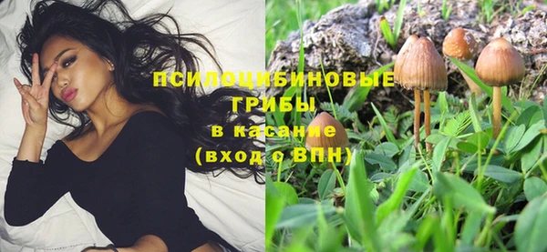 хмурый Алексеевка