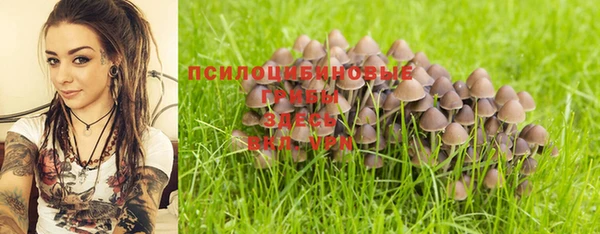 хмурый Алексеевка