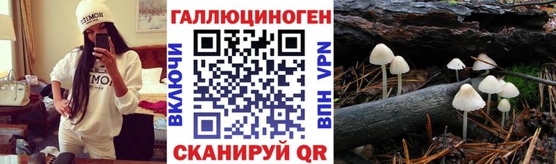 хочу   hydra онион  площадка какой сайт  Ижевск  Псилоцибиновые грибы GOLDEN TEACHER 
